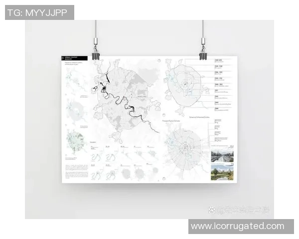 尼日利亚与阿尔及利亚比赛场地分析及影响因素探讨